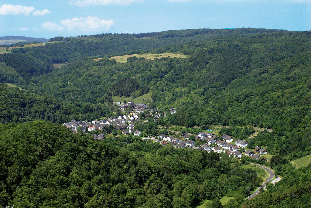 Landhotel Weinhaus Treis Weinähr Esterno foto