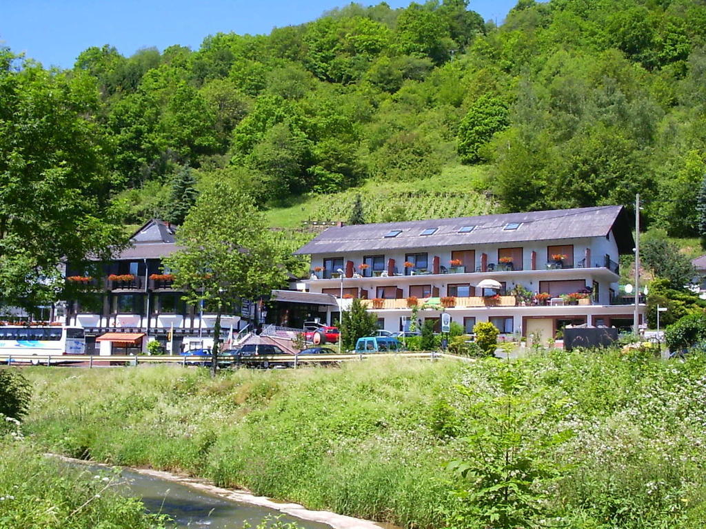 Landhotel Weinhaus Treis Weinähr Esterno foto